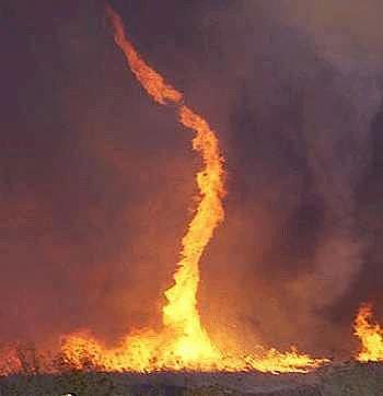 Das BIld zeigt einen Feuertornado welcher bei einem Flächenbrand entstanden ist.