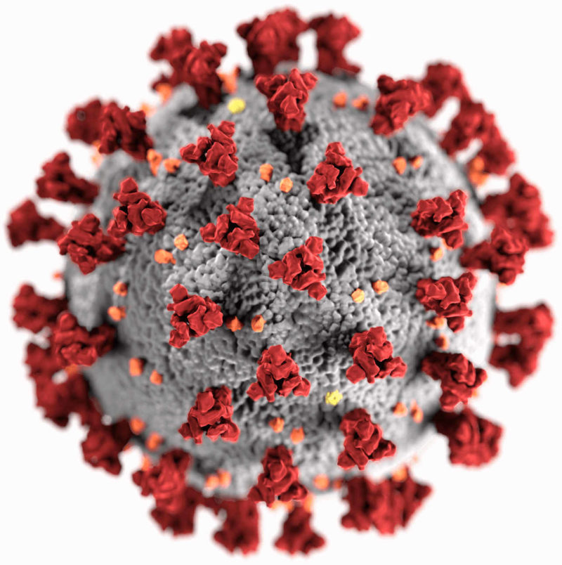 SARS Corona Virus - 2