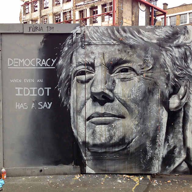 Grafitti - Trump - Democracy - when even an idiot has a say