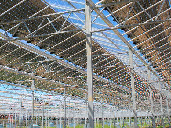 Photovoltaikanlagen - Agro-PV