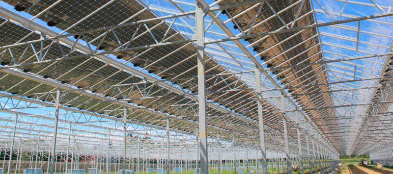 Photovoltaikanlagen - Agro-PV